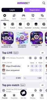 wowbet легально все, что нужно знать о легальности ставок в Wowbet