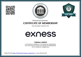 Everything You Need to Know About the Regulated Exness Broker
