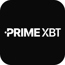 Understanding the PrimeXBT Log In Process A Step-by-Step Guide
