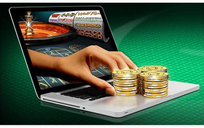 Experience the Thrill of Casino Wildz An In-Depth Exploration